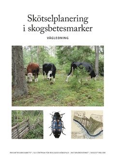 bokomslag Skötselplanering i skogsbetesmarker : vägledning