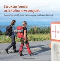 bokomslag Strukturfonder och kulturarvsprojekt : exempel från norr till söder - turism, stadsutveckling och hantverk