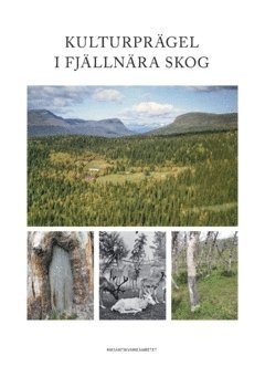 bokomslag Kulturprägel i fjällnära skog