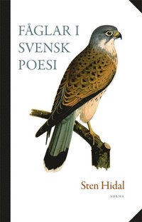 bokomslag Fåglar i svensk poesi