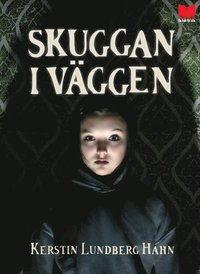 bokomslag Skuggan i väggen