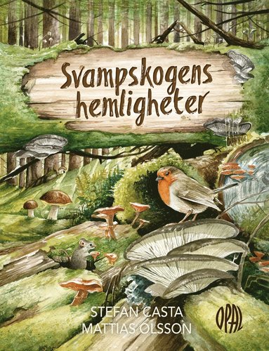 bokomslag Svampskogens hemligheter