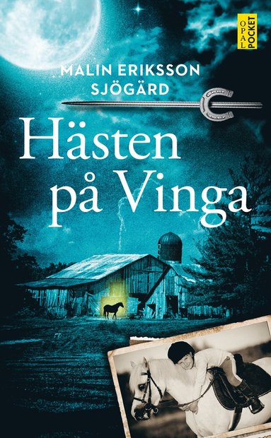 bokomslag Hästen på Vinga