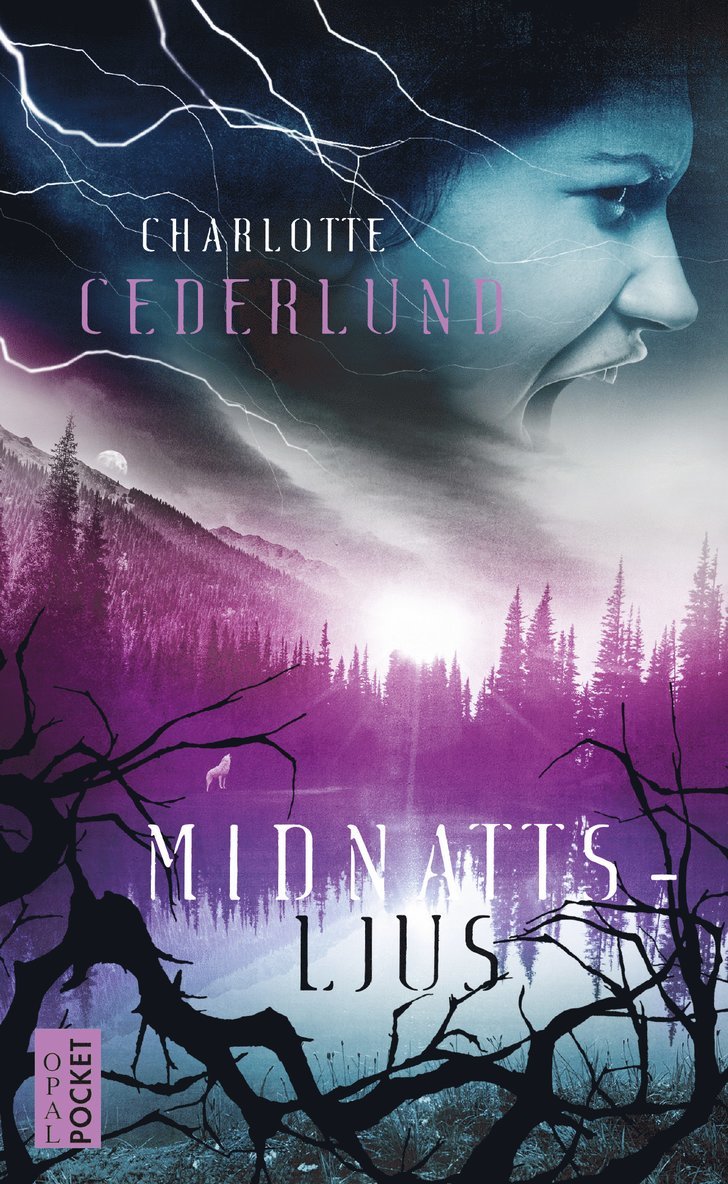 Charlotte Cederlund - Midnattsljus, Pocket