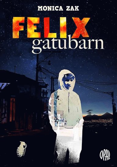 bokomslag Felix gatubarn