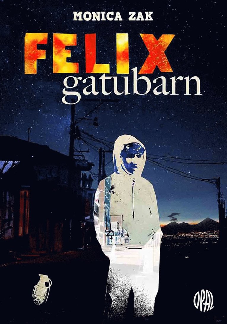 Felix gatubarn 1