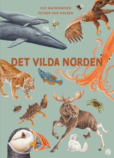 Ole Mathismoen - Det vilda Norden, Inbunden