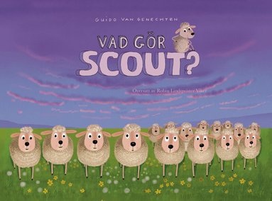 Guido van Genechten - Vad gör Scout?, Inbunden
