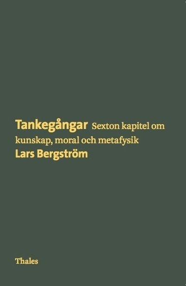 bokomslag Tankegångar : sexton kapitel om kunskap, moral och metafysik