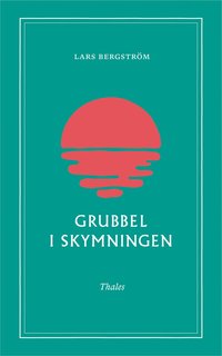 bokomslag Grubbel i skymningen