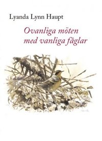 bokomslag Ovanliga möten med vanliga fåglar