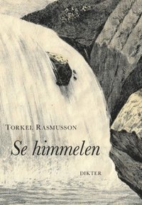 bokomslag Se himmelen : dikter