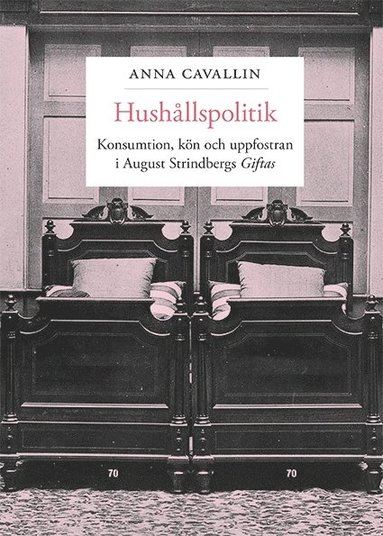 bokomslag Hushållspolitik : konsumtion, kön och uppfostran i August Strindbergs Giftas