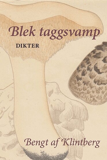 Bengt af Klintberg - Blek taggsvamp, Häftad