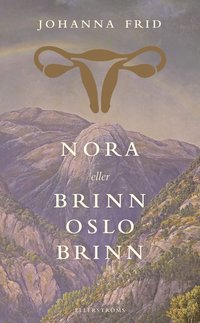 bokomslag Nora eller Brinn Oslo brinn