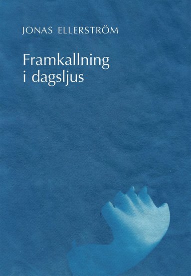 bokomslag Framkallning i dagsljus