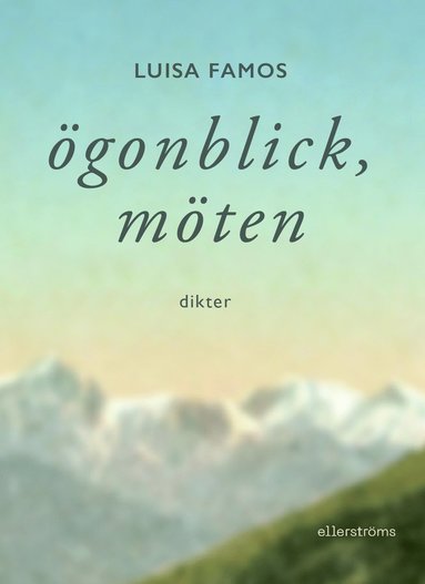 bokomslag Ögonblick, möten