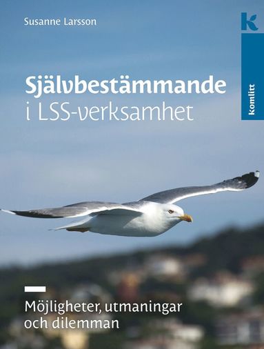 bokomslag Självbestämmande i LSS-verksamhet : Möjligheter, utmaningar och dilemman