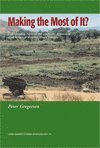 bokomslag Making the most of it? : understanding the social and productive dynamics of small farmers in semi-arid Iringa, Tanzania