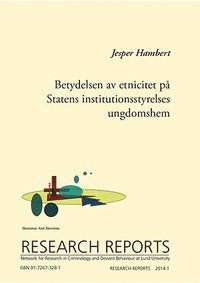 bokomslag Betydelsen av etnicitet på Statens institutionsstyrelses ungdomshem