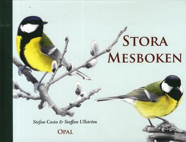 bokomslag Stora mesboken