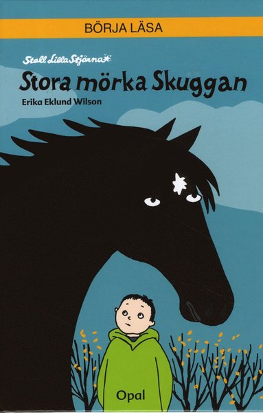 bokomslag Stora mörka Skuggan