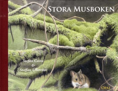 Stefan Casta - Stora musboken, Inbunden