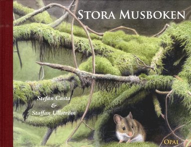bokomslag Stora musboken
