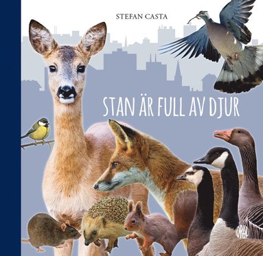 bokomslag Stan är full av djur