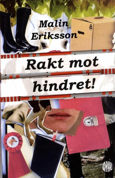 Malin Eriksson - Rakt mot hindret!, Inbunden