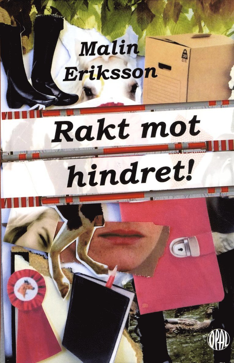 Rakt mot hindret! 1