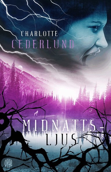 Charlotte Cederlund - Midnattsljus, Inbunden