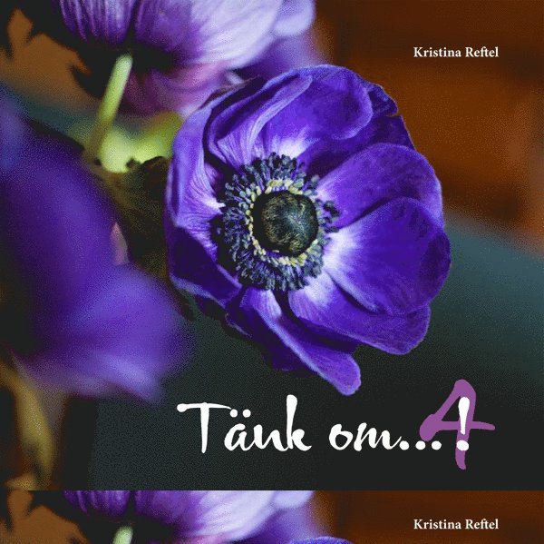 Kristina Reftel - Tänk om...! 4, Kartonnage