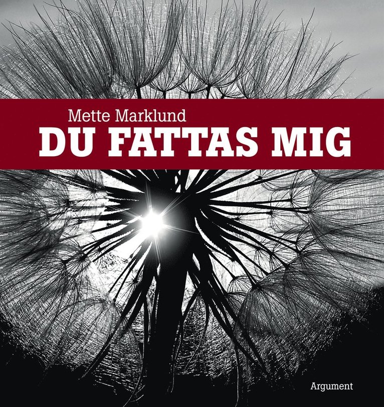 Mette Marklund - Du fattas mig, Inbunden
