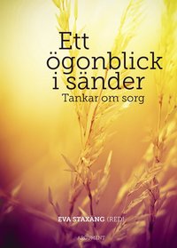 bokomslag Ett ögonblick i sänder : tankar om sorg