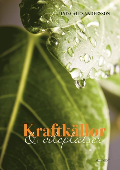 bokomslag Kraftkällor och viloplatser