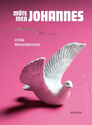 bokomslag Möte med Johannes