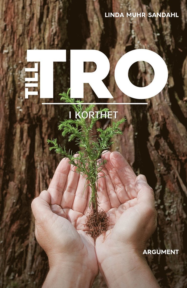 Till tro - i korthet 1