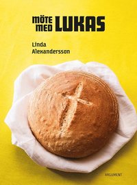 bokomslag Möte med Lukas