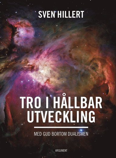 bokomslag Tro i hållbar utveckling : med gud bortom dualismen