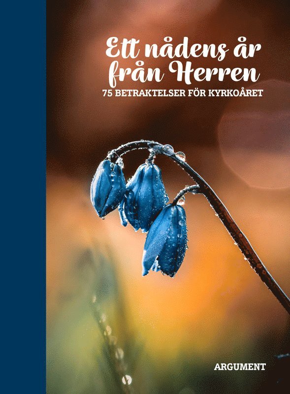 Ett nådens år från Herren, Inbunden