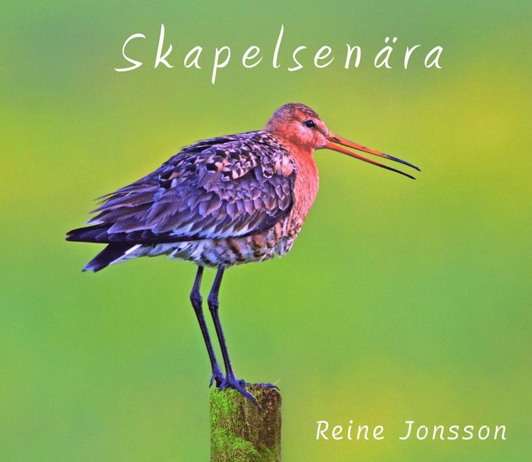 Reine Jonsson - Skapelsenära, Inbunden