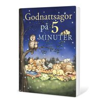 bokomslag Godnattsagor på 5 minuter - Med böner och bibelord