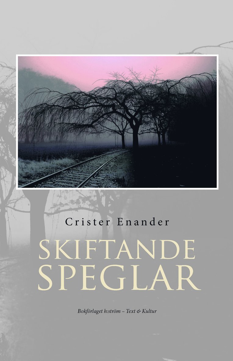 Skiftande speglar : essäer & porträtt 1