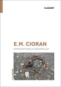 bokomslag Sammanfattning av sönderfallet