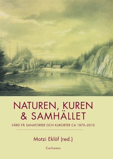 bokomslag Naturen, kuren & samhället : vård på sanatorier och kurorter ca 1870-2010