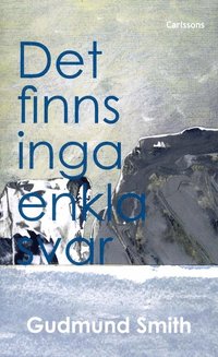bokomslag Det finns inga enkla svar