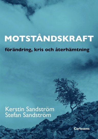 bokomslag Motståndskraft : förädning, kris och återhämtning