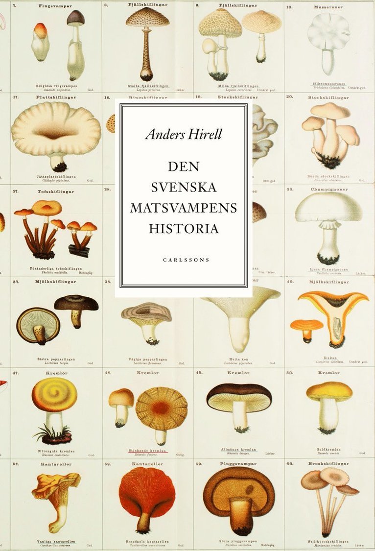 Anders Hirell - Den svenska matsvampens historia : nedslag och utvikningar från 1600-tal till nutid, Inbunden
