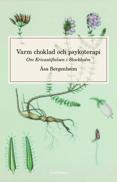 bokomslag Varm choklad och psykoterapi : om Ericastiftelsen Stockholm